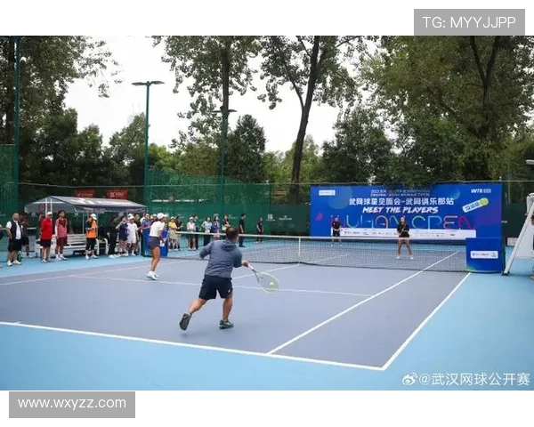 武汉网球队奋勇争先的历程与成就揭秘：世界锦标赛特别报道